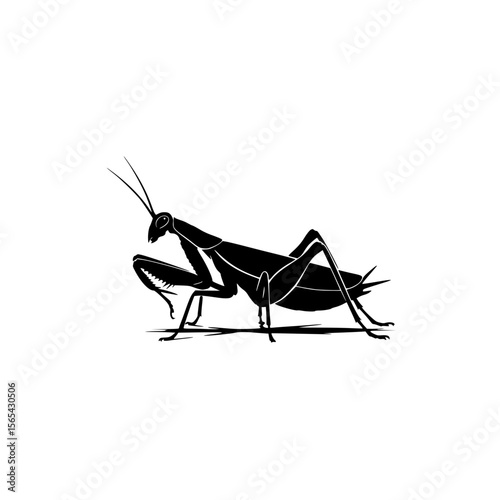 Praying Mantis Insect Silhouette Vector Art and Illustration