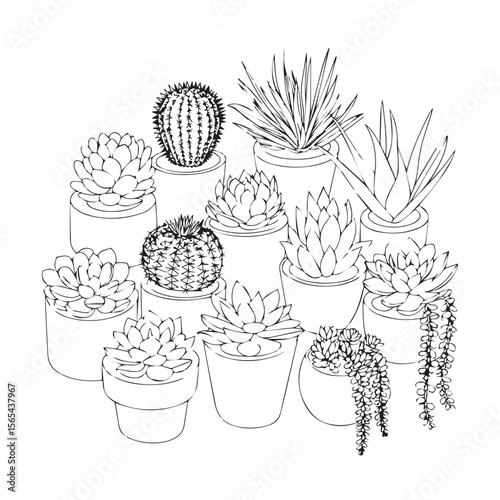 A charming black and white line drawing illustration featuring a diverse collection of potted succulents and cacti arranged artfully against a clean white background