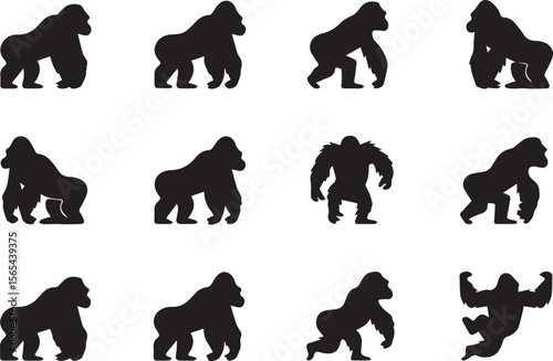 A set of different types of black Gorilla Wild Animals silhouette icons on a white background. Each  has a unique position. The icons are illustrations
