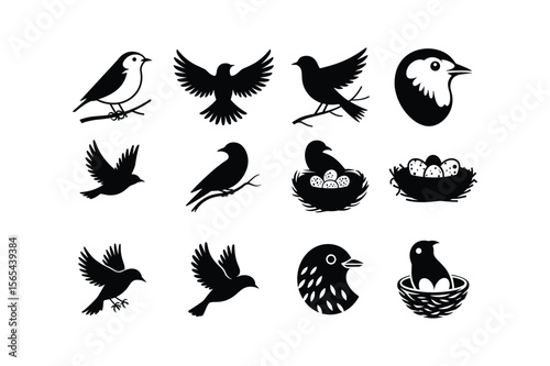 Bird bundle silhouette collection flying perched