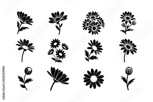 Daisy flower silhouettes bundle floral botanical