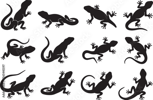 A set of different types of black Lizard Wild Animals silhouette icons on a white background. Each  has a unique position. The icons are illustrations