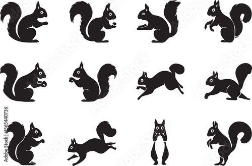 A set of different types of black Squirrel Wild Animals silhouette icons on a white background. Each  has a unique position. The icons are illustrations