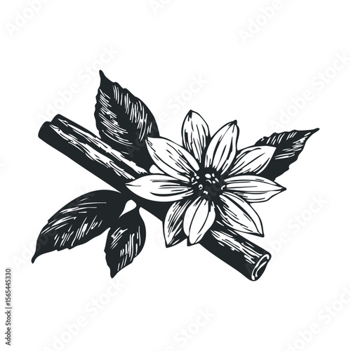 Black and white cinnamon sticks with flower and leaves illustration