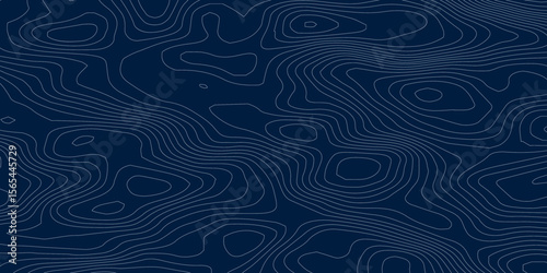 Topographic background and texture, monochrome. Black and white abstract Seamless Pattern with Contour Lines map.