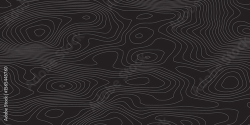 Topographic background and texture, monochrome. Black and white abstract Seamless Pattern with Contour Lines map.