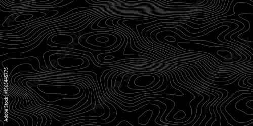 Topographic background and texture, monochrome. Black and white abstract Seamless Pattern with Contour Lines map.