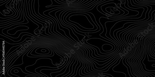 Topographic background and texture, monochrome. Black and white abstract Seamless Pattern with Contour Lines map.