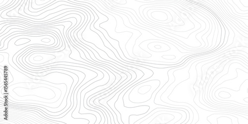 Topographic background and texture, monochrome. Black and white abstract Seamless Pattern with Contour Lines map.
