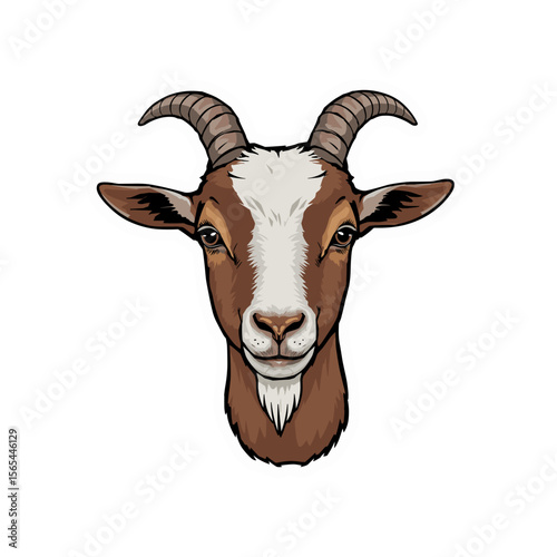 A majestic goat portrait, with striking eyes and prominent horns, set against a clean backdrop, capturing the essence of farm animal.