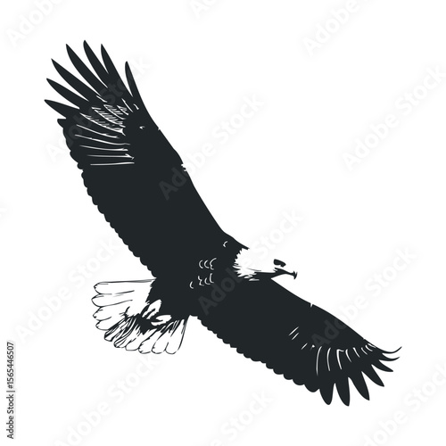 Silhouette of a majestic eagle in flight with outstretched wings