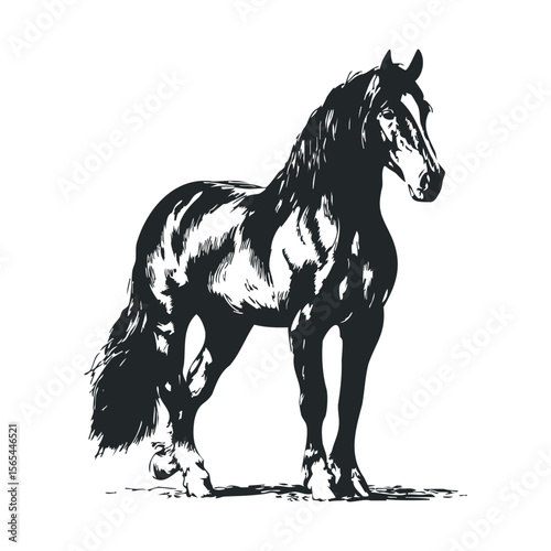 Majestic black horse silhouette: strong and elegant equine illustration