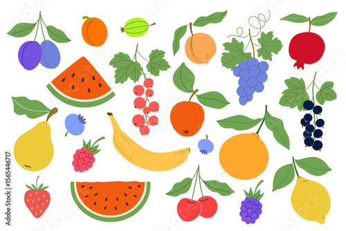 Set of fruits: plum, apricot, gooseberry, peach, grape, pomegranate, watermelon, red, black currant, apple, pear, blueberry, raspberry, banana, orange, strawberry, cherry, blackberry, lemon. Vector.