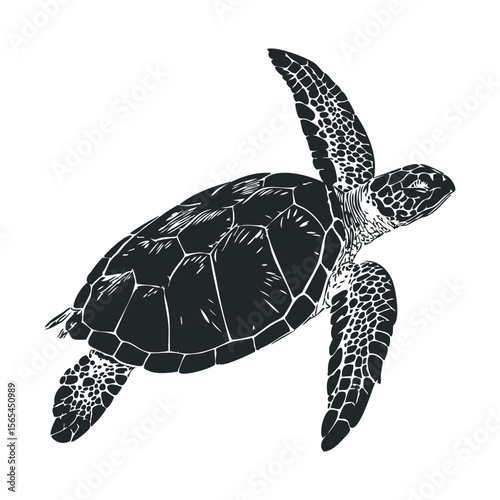 Black and white illustration of a sea turtle swimming with detailed shell and flippers