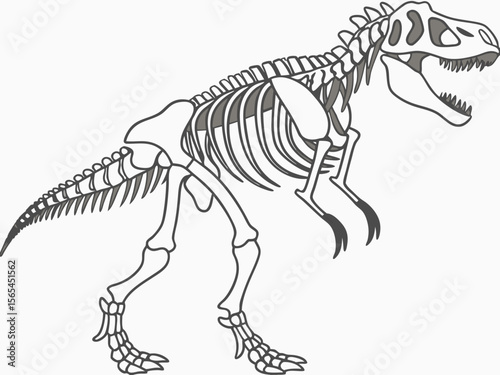 tyrannosaurus rex skeleton