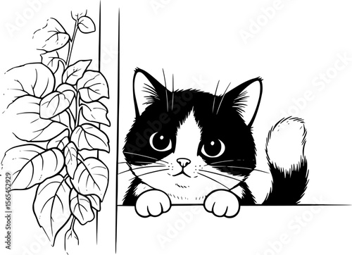 Black and white cat peeking, looking out. Funny characters set. Cute emotional domestic animal. Hiding, hunting, playing, sitting, lying concept. Hand drawn Vector illustration. Isolated elements