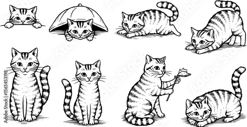 Black and white cat peeking, looking out. Funny characters set. Cute emotional domestic animal. Hiding, hunting, playing, sitting, lying concept. Hand drawn Vector illustration. Isolated elements