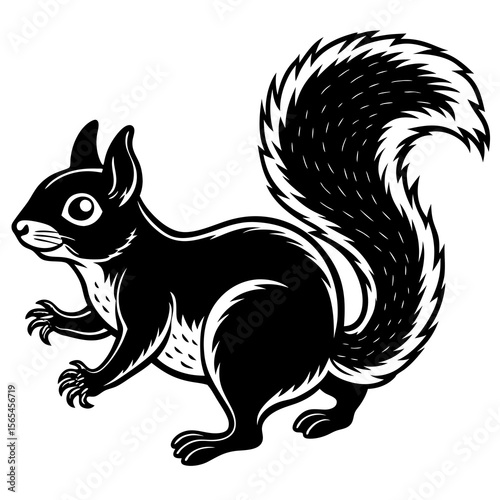 squirrel with nut