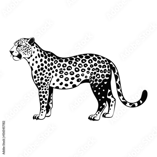 Leopard Vector Silhouette – Elegant Black and White Big Cat Illustration with Detailed Spots, Ideal for Tattoos, Logos, Wildlife Prints, and Jungle Decor