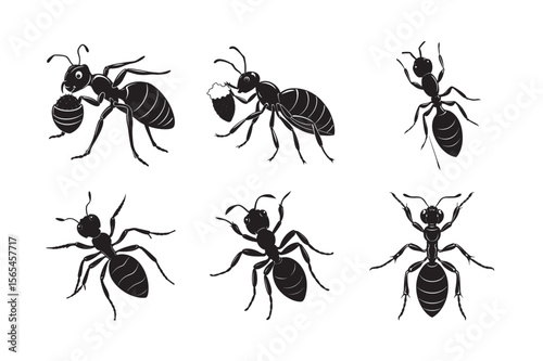 silhouette ant carrying food crumb bundle on the white 
 background