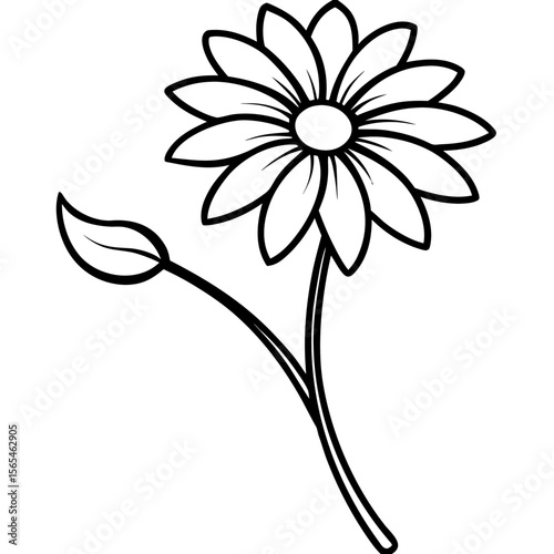 white flower on black background