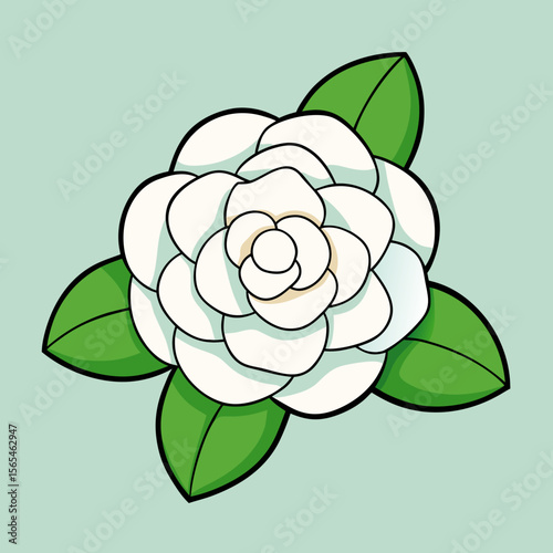 vector illustration of a rose