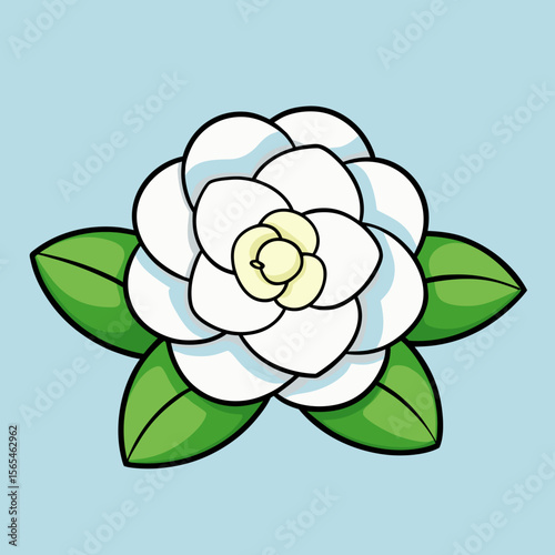 vector rose flower