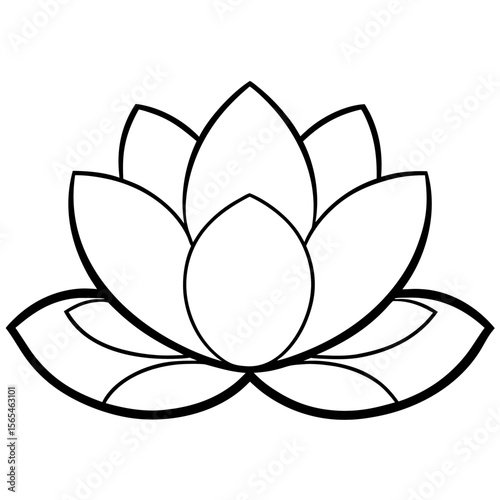 lotus flower vector illustration