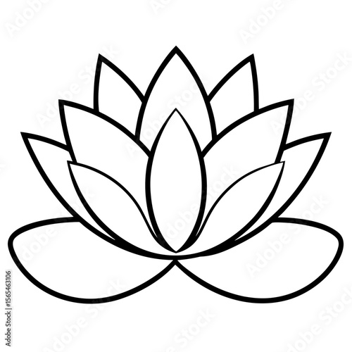 lotus flower vector illustration