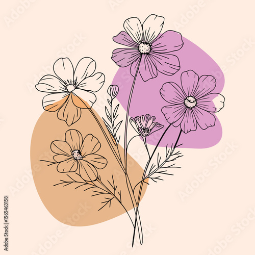 vector illustration of flowers