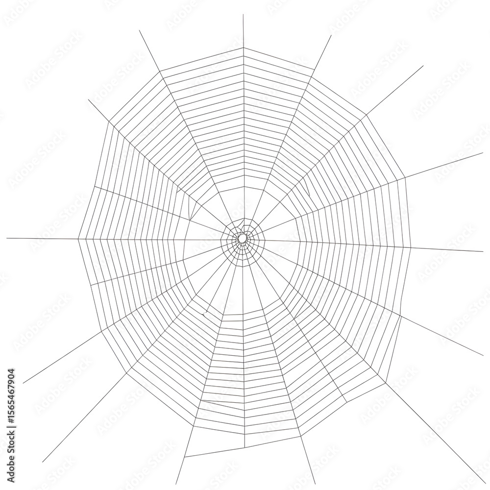 Obraz premium spider web transparent background png