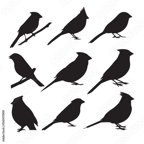 Wallpaper Mural set of silhouettes of birds Torontodigital.ca