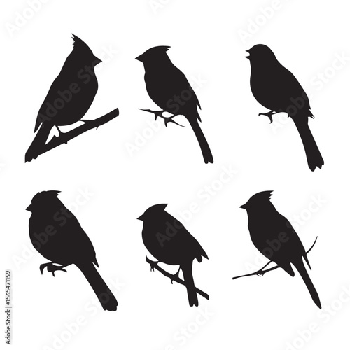 set of silhouettes of birds