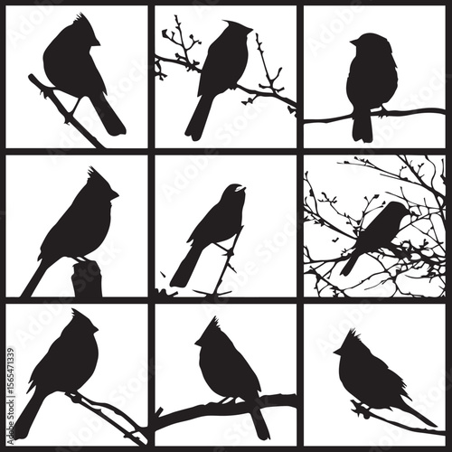 set of silhouettes of birds