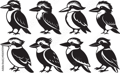 Foto set of kookaburra bird silhouette, black and white silhouette, vector and illust