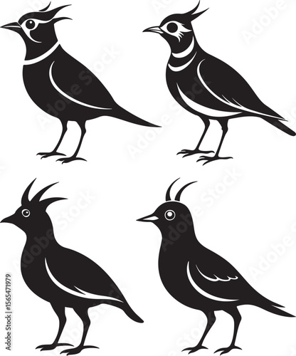 set of horned lark silhouette, black and white silhouette, vector and illustration