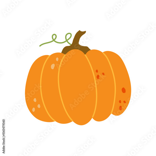 Pumpkin isolated .Autumn vegetable for Halloween Thanksgiving Harves festival. Simple modern doodle icon. Cooking organic healthy ingredient. Vegetarian food. Design element