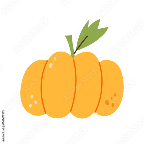 Pumpkin isolated .Autumn vegetable for Halloween Thanksgiving Harves festival. Simple modern doodle icon. Cooking organic healthy ingredient. Vegetarian food. Design element