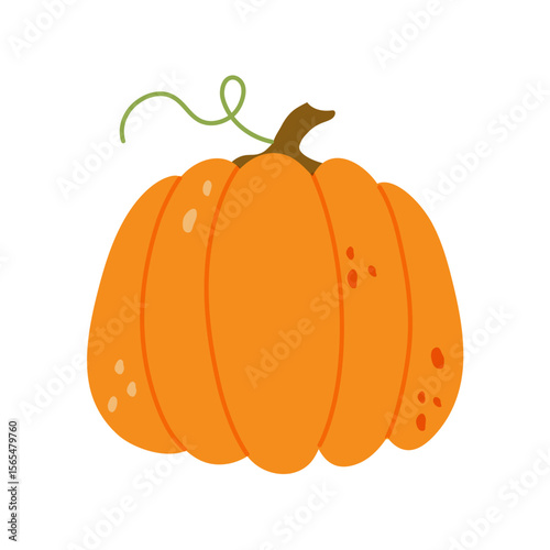 Pumpkin isolated .Autumn vegetable for Halloween Thanksgiving Harves festival. Simple modern doodle icon. Cooking organic healthy ingredient. Vegetarian food. Design element