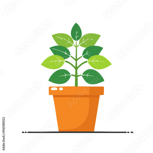 Basil Food Icon Isolated on a Transparent Background 