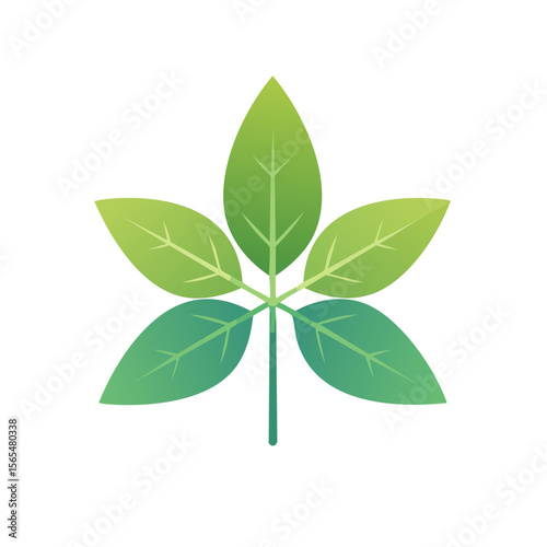 Basil Food Icon Isolated on a Transparent Background 
