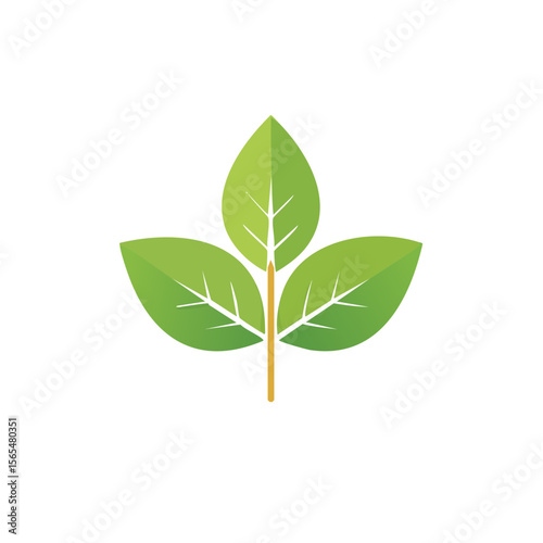 Basil Food Icon Isolated on a Transparent Background 