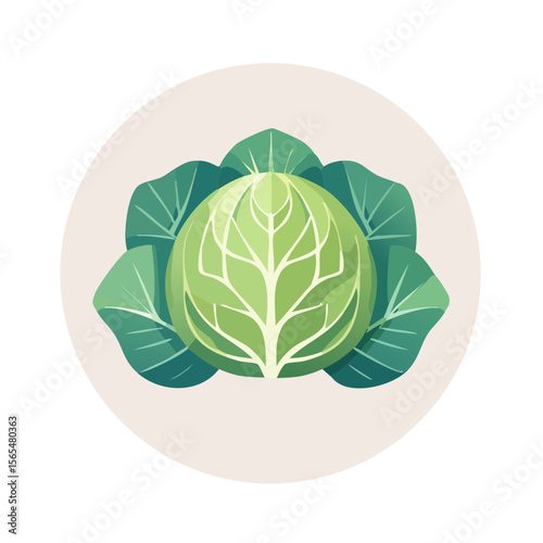 Cabbage Food Icon Isolated on a Transparent Background 