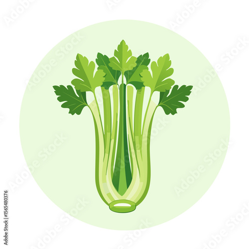 Celery Food Icon Isolated on a Transparent Background 
