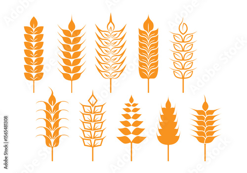 Collection of stylized oat and wheat stalk icons representing agriculture harvest and healthy food suitable for various design projects