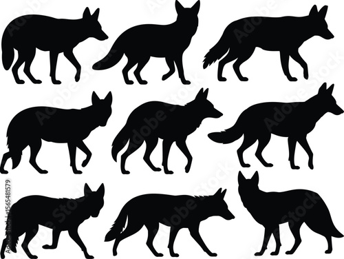 Fox Silhouette Vector Set Featuring Wild Foxes in Various Walking and Standing Poses