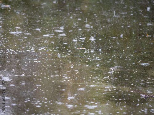 Wall Mural Raindrops splash on the sidewalk during a summer downpour