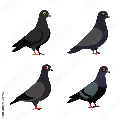 Vector art illustration of a set of pigeon birds