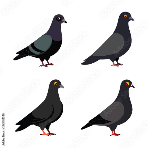 Vector art illustration of a set of pigeon birds