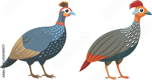 cock and hen